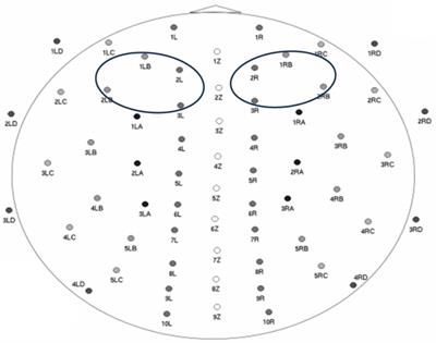 Shaping infants’ social brains through vicarious social learning: the importance of positive mother–father interactions